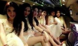 大姐派对最新爆料视频大全,最新爆料视频大盘点